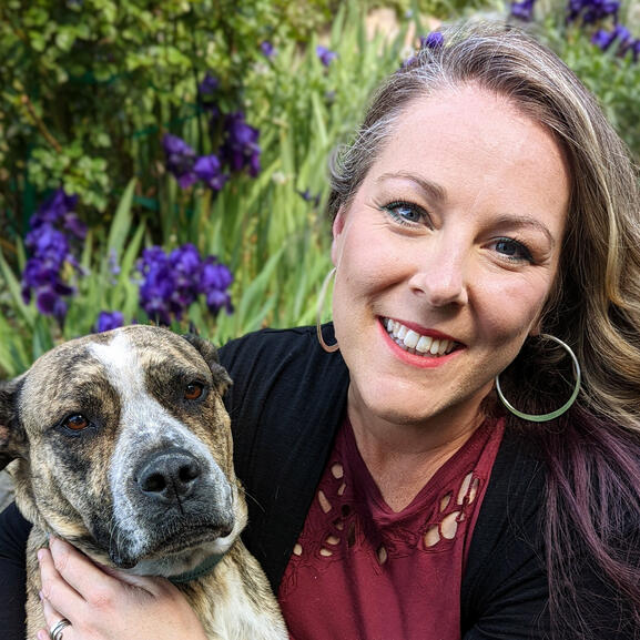 logo Blossom and Heal Logo